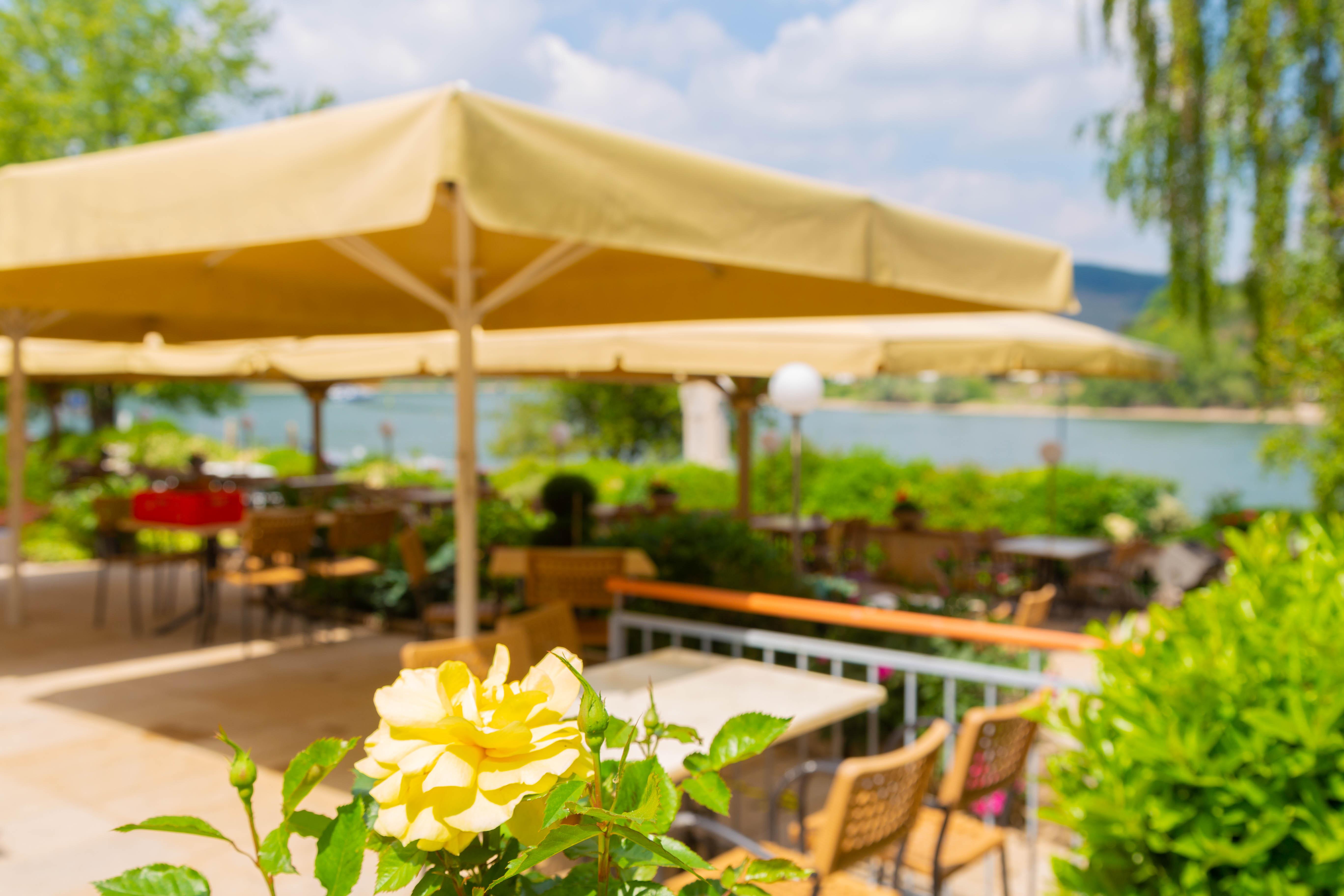 Das Ebertor - Hotel & Hostel บอพพาร์ด ภายนอก รูปภาพ